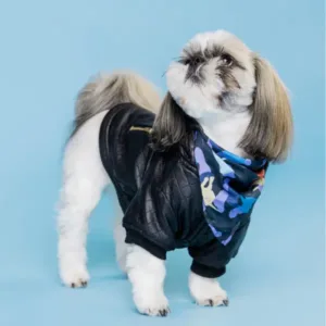 shih tzu dog breed